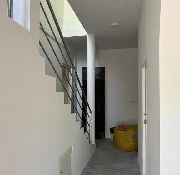 تختخواب و صبحانه Raalhu Dhangethi