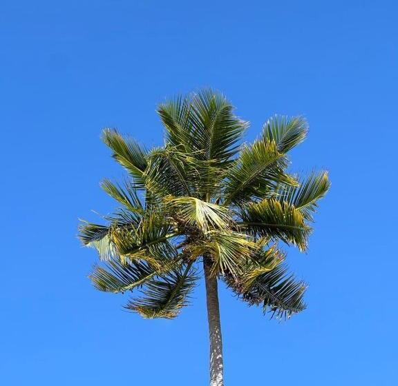 تختخواب و صبحانه Raalhu Dhangethi