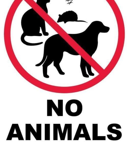 فندق على الطريق Queen City Inn