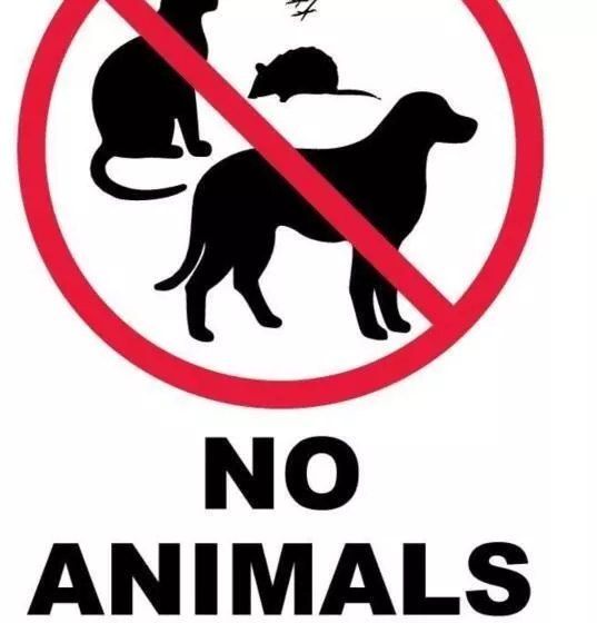 モーテル Queen City Inn