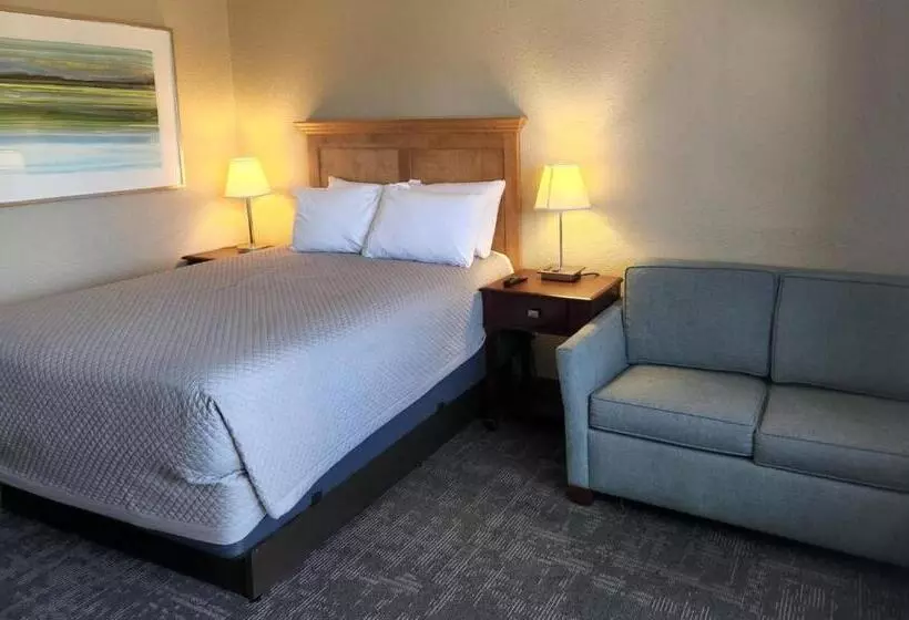 モーテル Queen City Inn