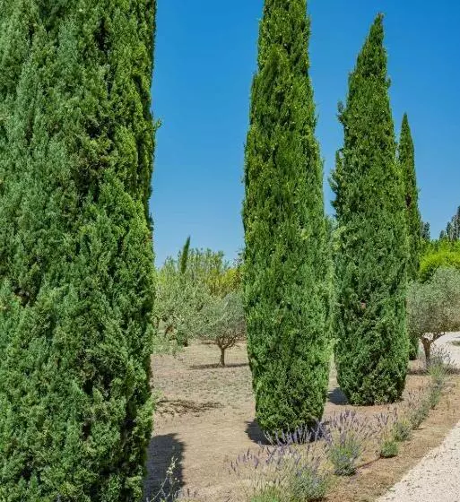 Bed and Breakfast Les Logis Du Perussier