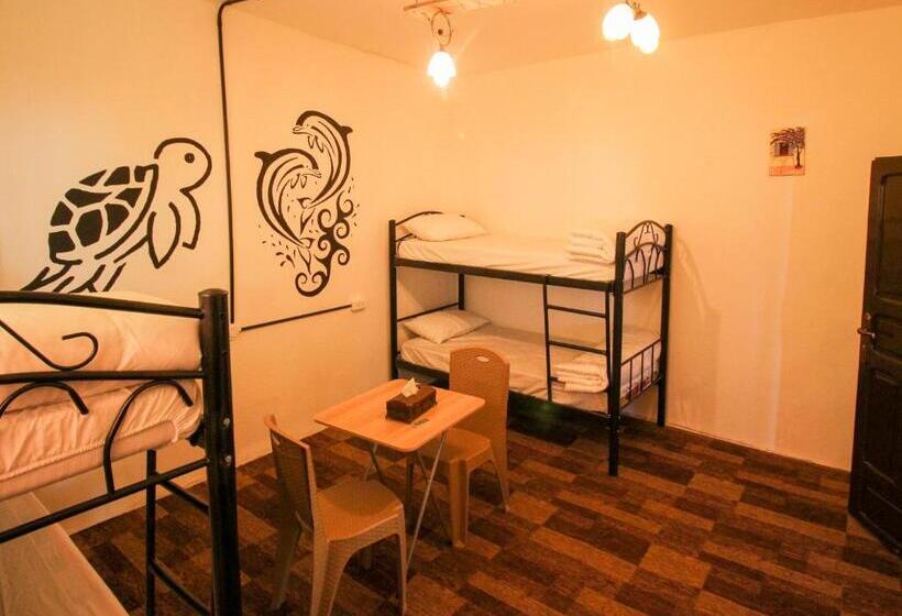 Petra Nefnaf Hostel