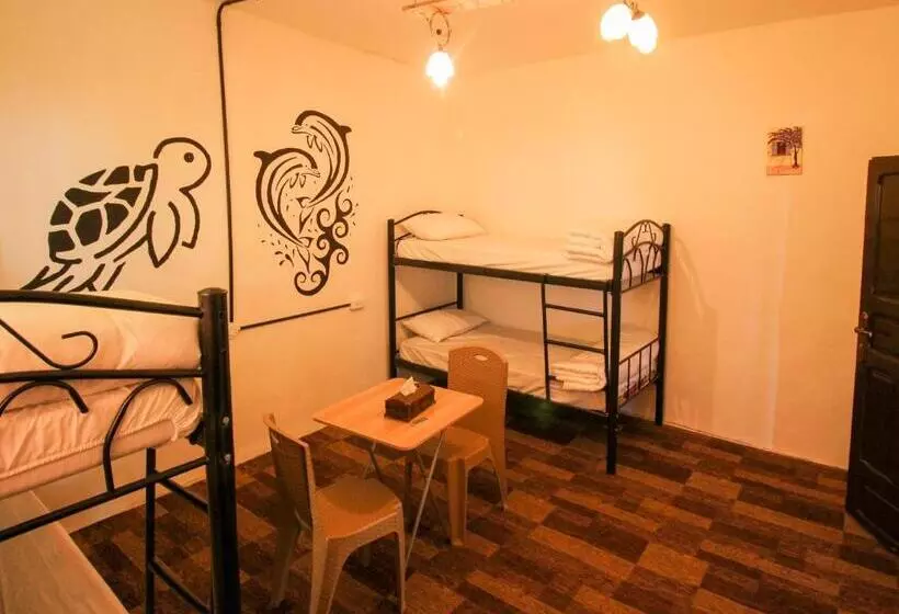Petra Nefnaf Hostel