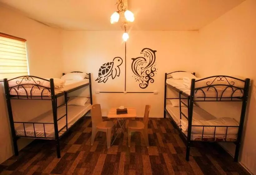 Petra Nefnaf Hostel
