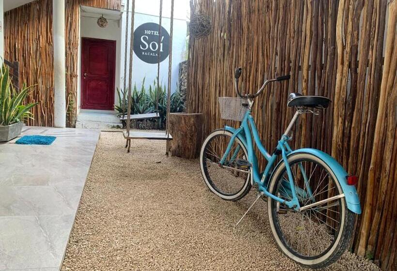 فندق Soi Bacalar