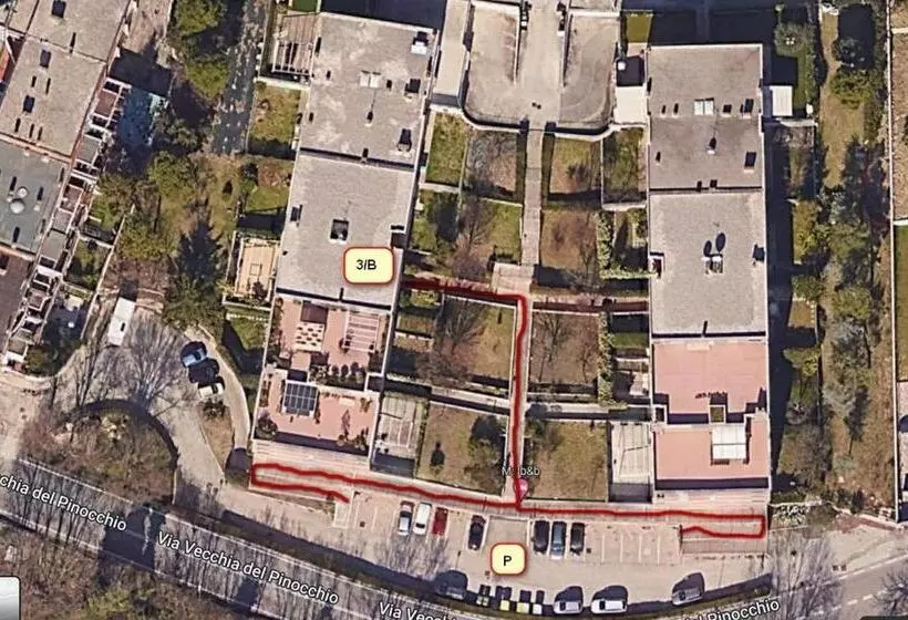 My B&b   Strada Vecchia Del Pinocchio 3/b