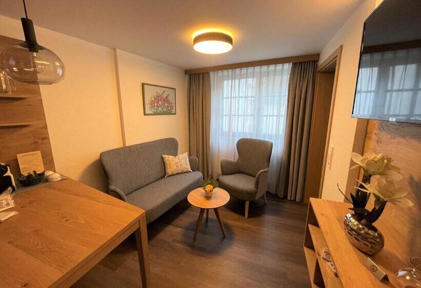 호스텔 Gästehaus Klingler