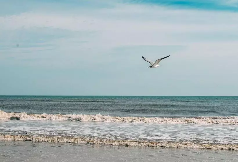 Hotelli Bluebird Dennisport