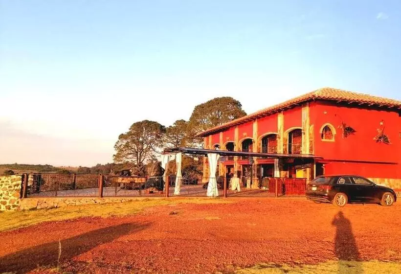 ホテル Finca Dragón