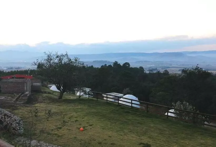 ホテル Finca Dragón