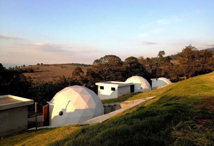 هتل Finca Dragón