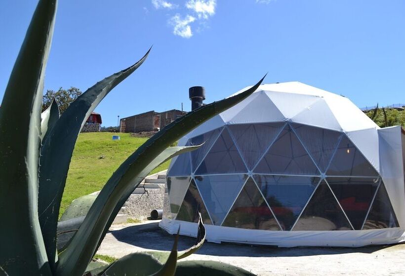 هتل Finca Dragón