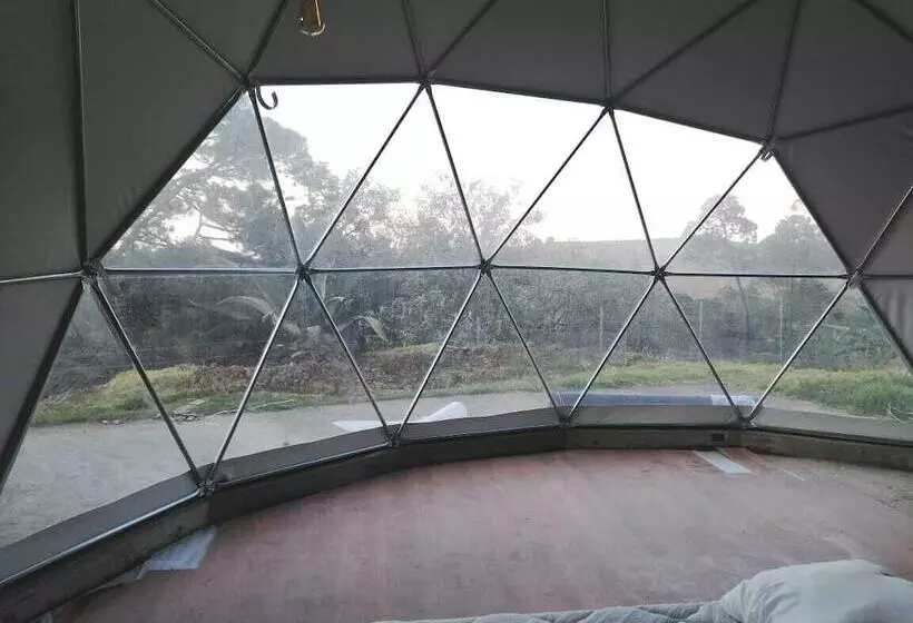 ホテル Finca Dragón