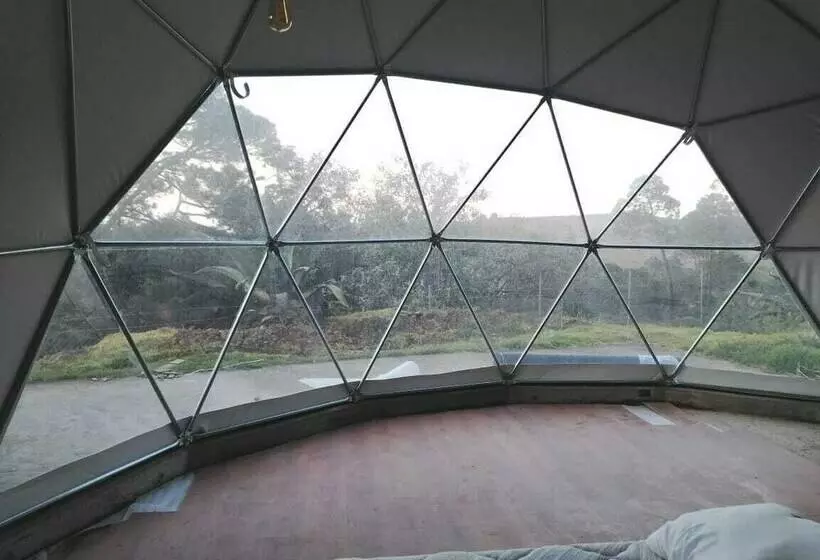ホテル Finca Dragón