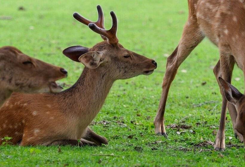 Iroha Grand Hotel Kintetsu Nara Ekimae