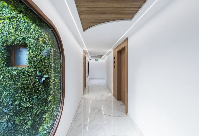 Odyssey Rooms Alicante