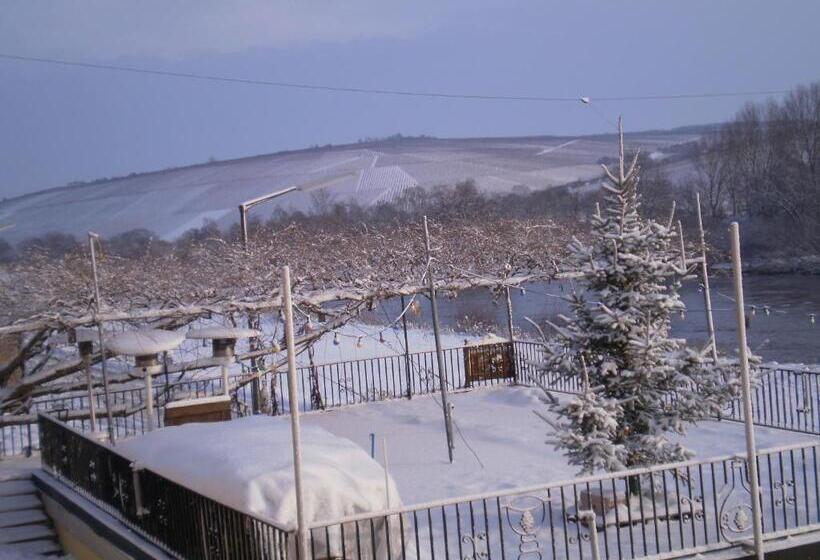 Общежитие Gasthof Zum Schiff