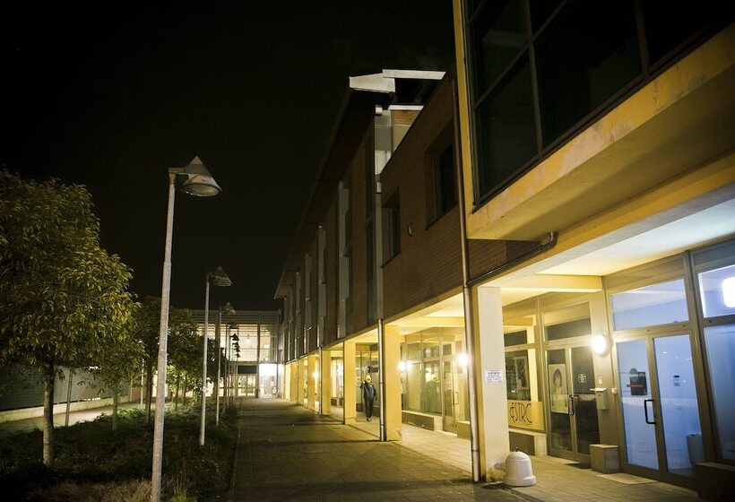 酒店 Daytona Business