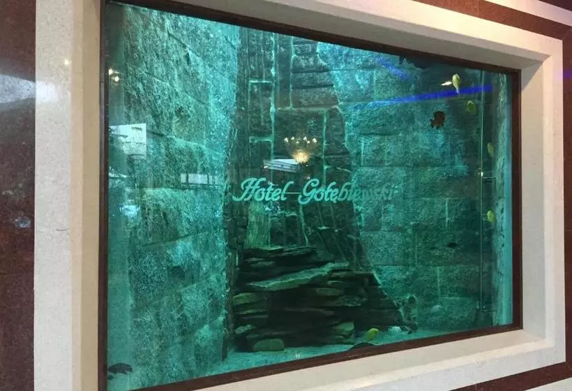 酒店 Gołębiewski Białystok