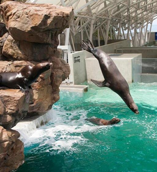 בית מלון כפרי Kinparo