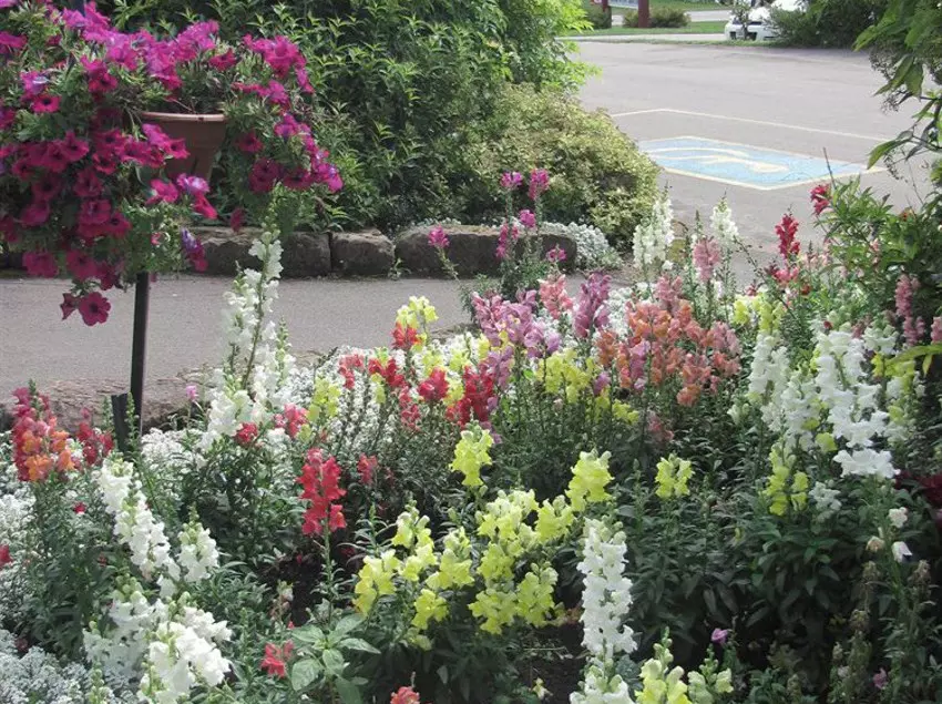 Stanley Bridge Country Resort