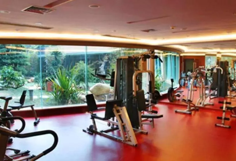 בית מלון כפרי Wellton International