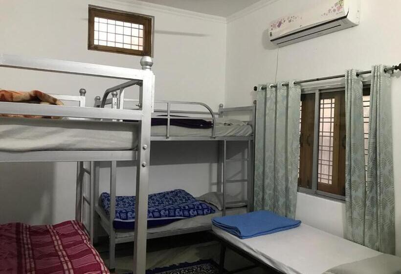 هاستل 9backpackers