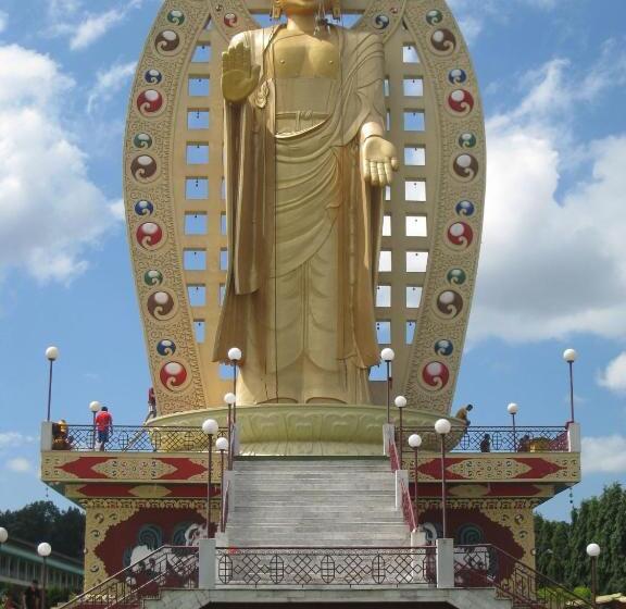 هاستل 9backpackers