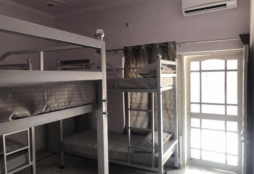 هاستل 9backpackers