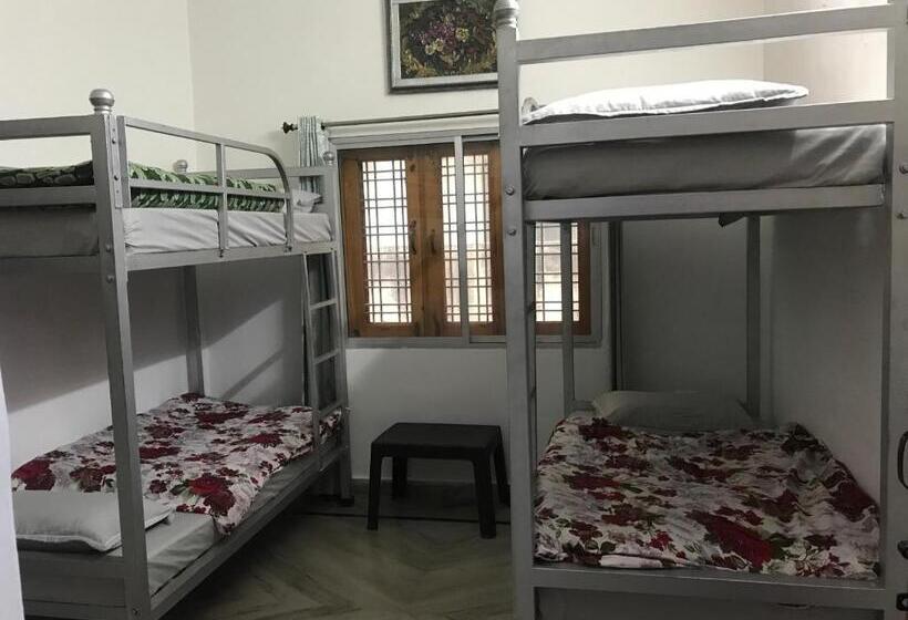 هاستل 9backpackers