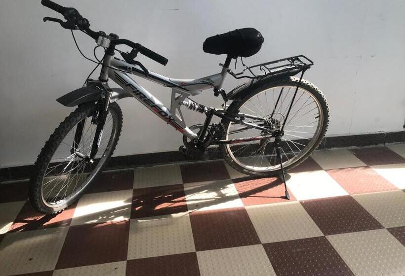 هاستل 9backpackers