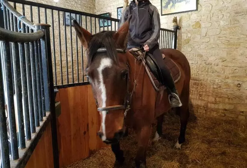 ベッドアンドブレックファースト Chenonceau Amboise équitation Beauval