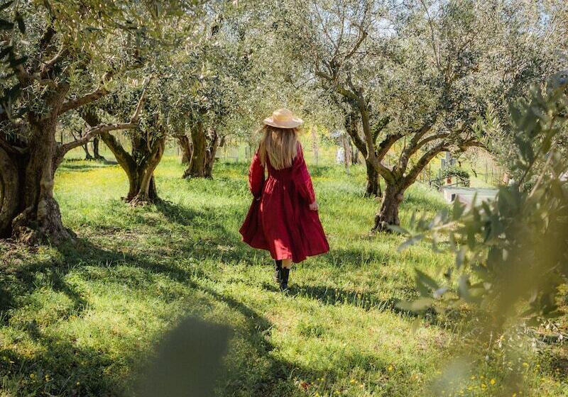 ホテル Relais Forte Benedek Wine & Spa   Adults Only