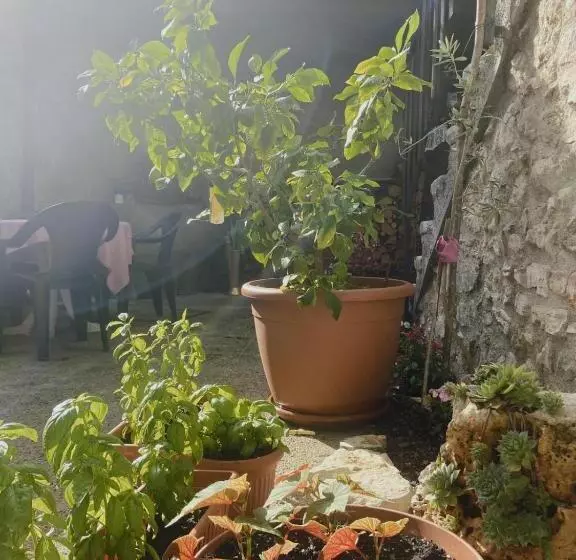 ペンション Casa Lidia