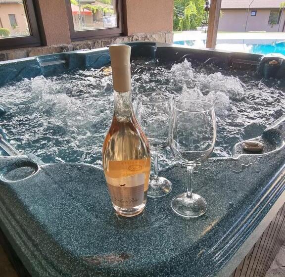 Отель хотелски комплекс саня