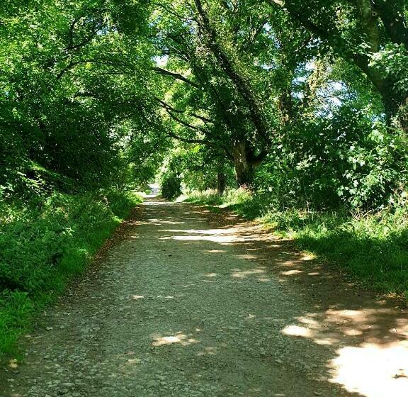 Пансион The Cozy Shed