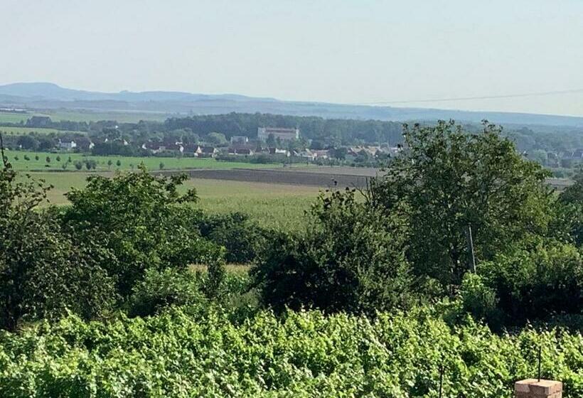 ペンション Vinný Sklep U Křížů