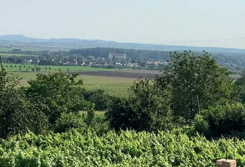 ペンション Vinný Sklep U Křížů