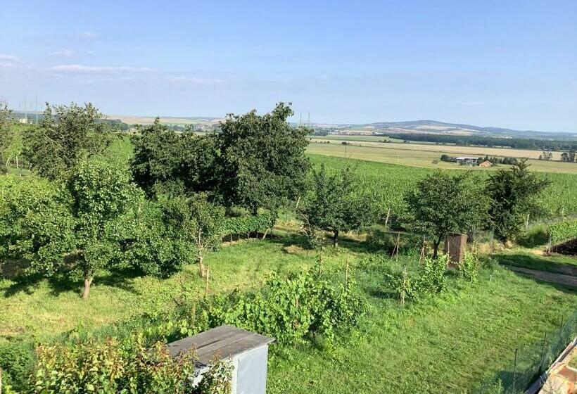 ペンション Vinný Sklep U Křížů