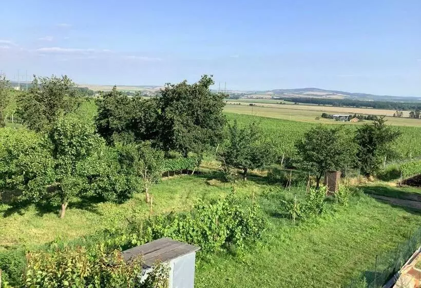 ペンション Vinný Sklep U Křížů