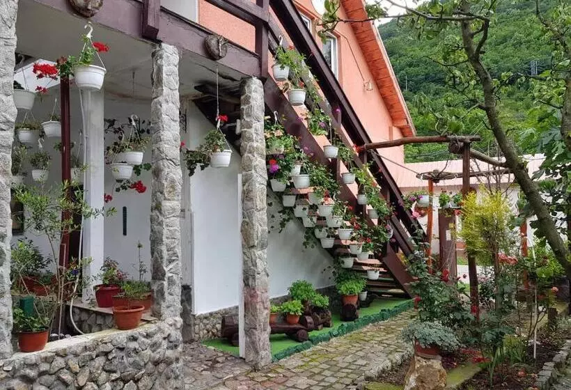 Pensiunea Casa Montana