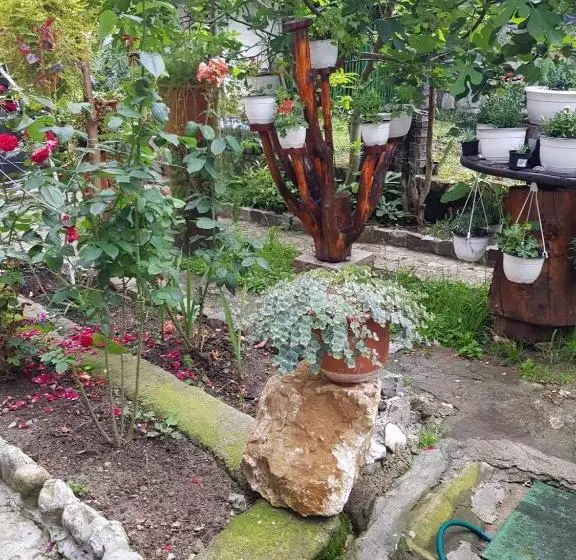 Pensiunea Casa Montana