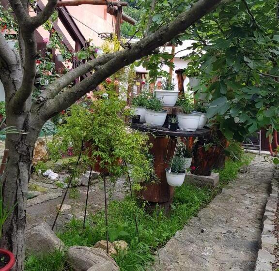 Pensiunea Casa Montana