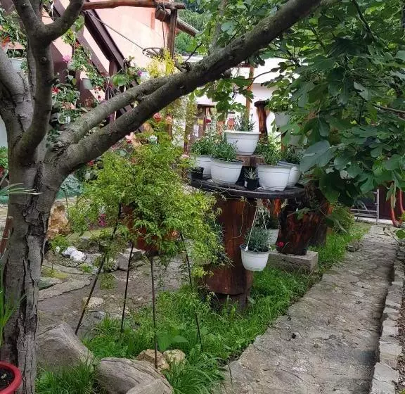 Pensiunea Casa Montana