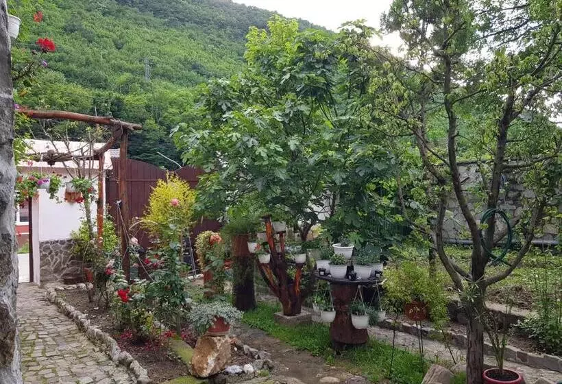 Pensiunea Casa Montana