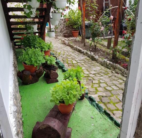 Pensiunea Casa Montana