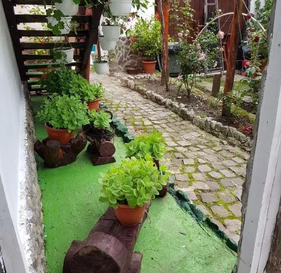 Pensiunea Casa Montana