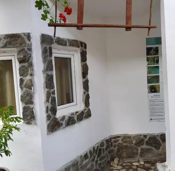 Pensiunea Casa Montana