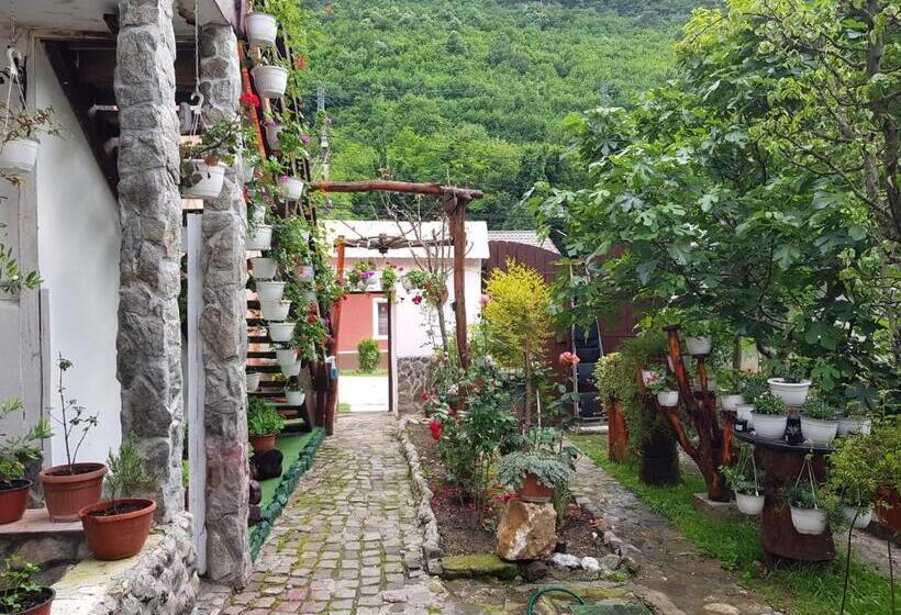 Pensiunea Casa Montana